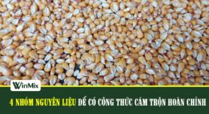 4 Nhóm nguyên liệu để có công thức trộn hoàn chỉnh