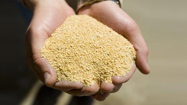 khô đậu tương nhóm nguyên liệu cung cấp đạm