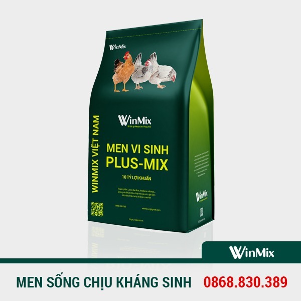 men-vi-sinh men vi sinh