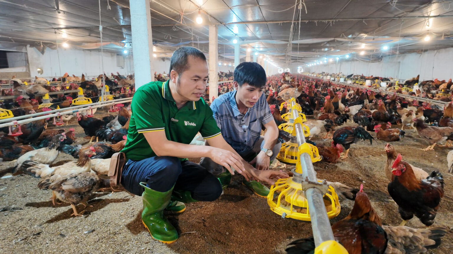 cong ty san xuat thuc an chan nuoi winmix viet nam