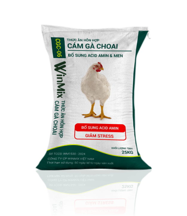 cám gà choai winmix
