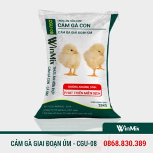 cám gà con giai đoạn úm winmix