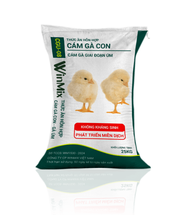 cám gà con gà úm