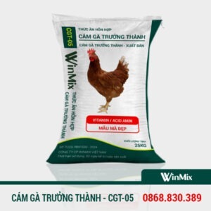 cám gà trưởng thành xuất bán winmix