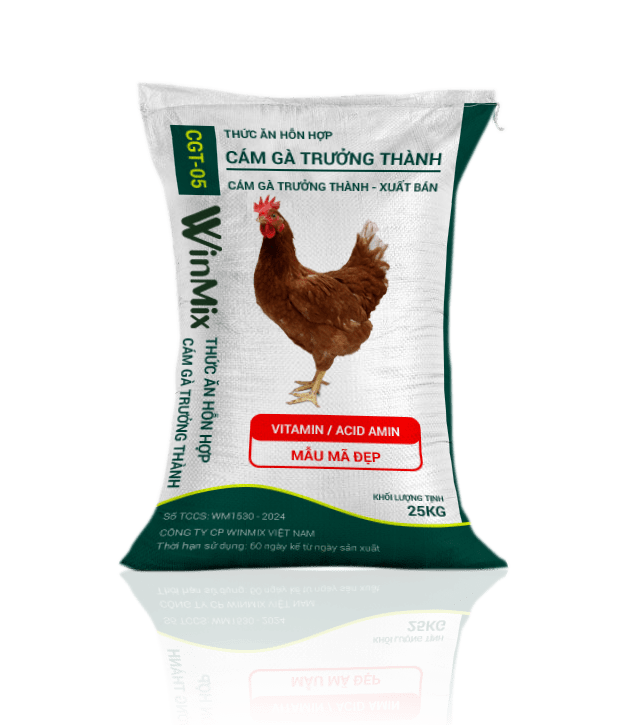 cám gà trưởng thành xuất bán winmix cgt 05