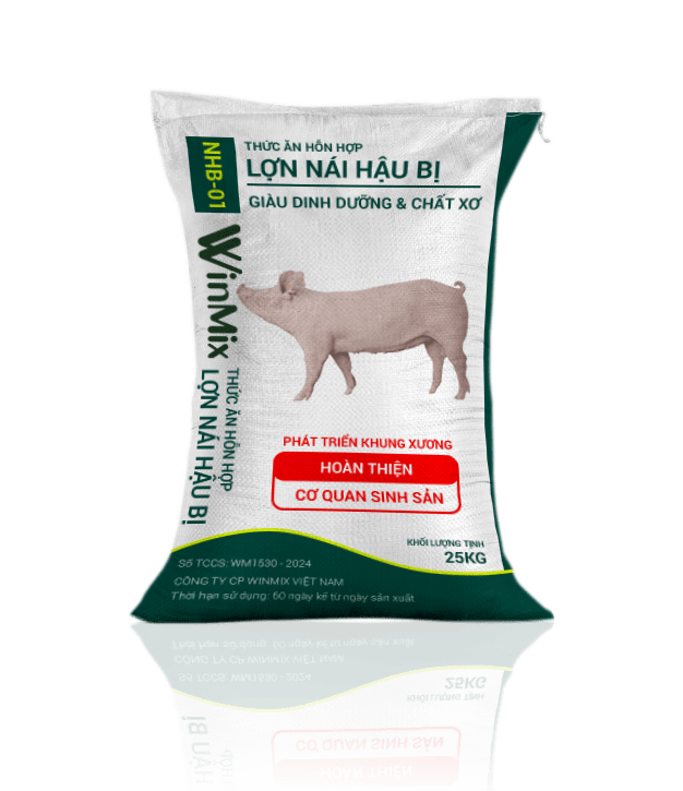 Cám lợn nái hậu bị NHB 01