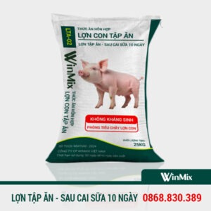 cám lợn tập ăn đến sau cai sữa