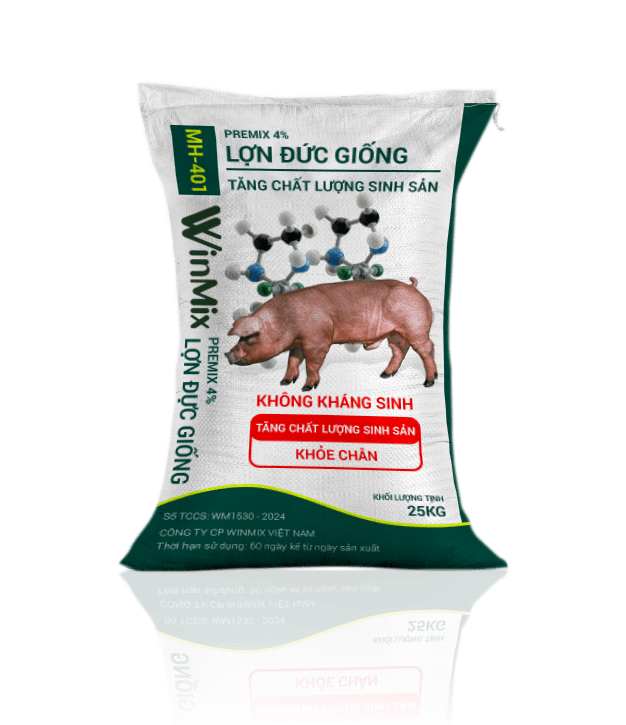 Premix cho heo đực giống premix 4%