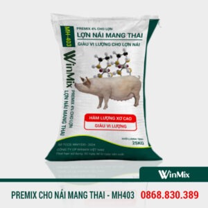 premix cho heo nái mang thai premix 4