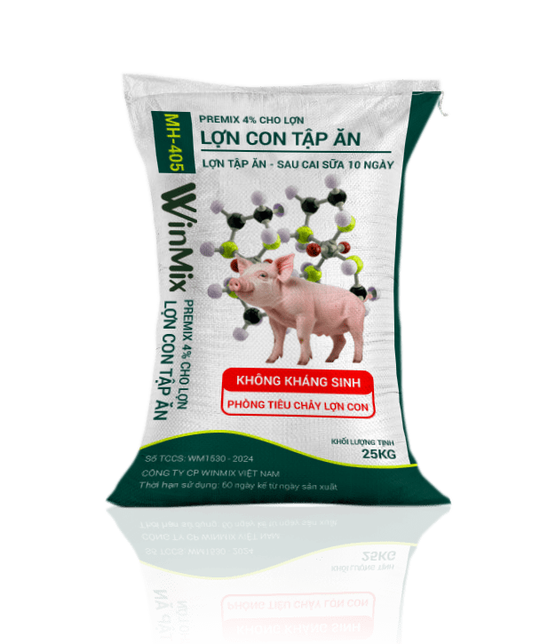 Premix cho heo tập ăn đến sau cai sữa 10 ngày