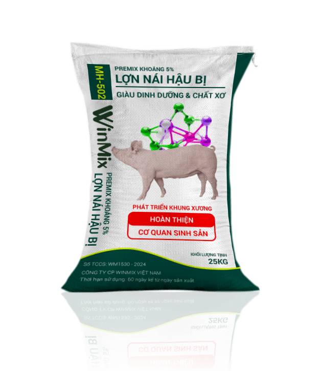premix khoáng cho heo nái hậu bị premix 5% vitamin