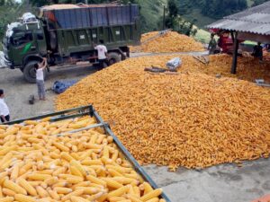 Xuất nhập nguyên liệu trong quản lý tự trộn cám 