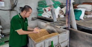 Chọn nguyên liệu cám trộn cho lợn suy dinh dưỡng