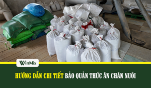 bao quan thuc an chan nuoi
