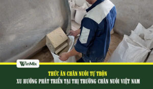 Thức ăn chăn nuôi tự trộn cho gà và lợn