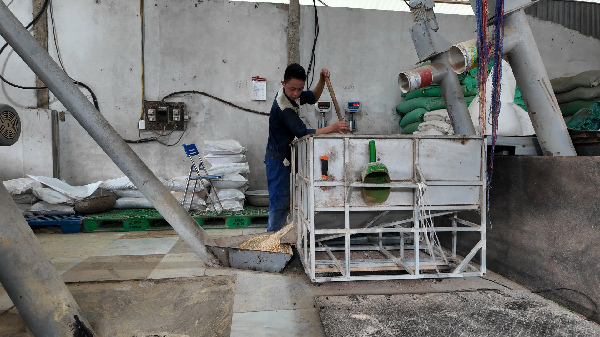 Thức ăn chăn nuôi tự trộn hiệu quả