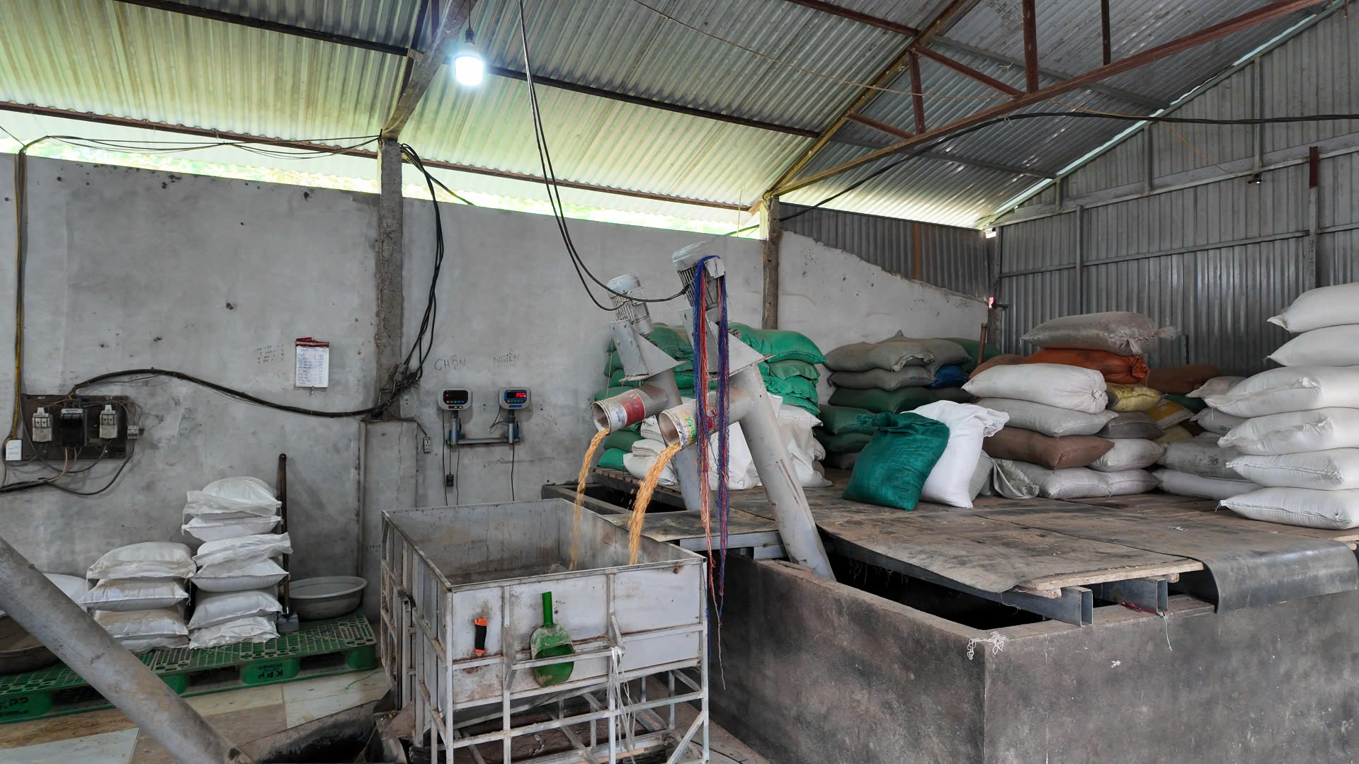 Thức ăn chăn nuôi tự trộn 